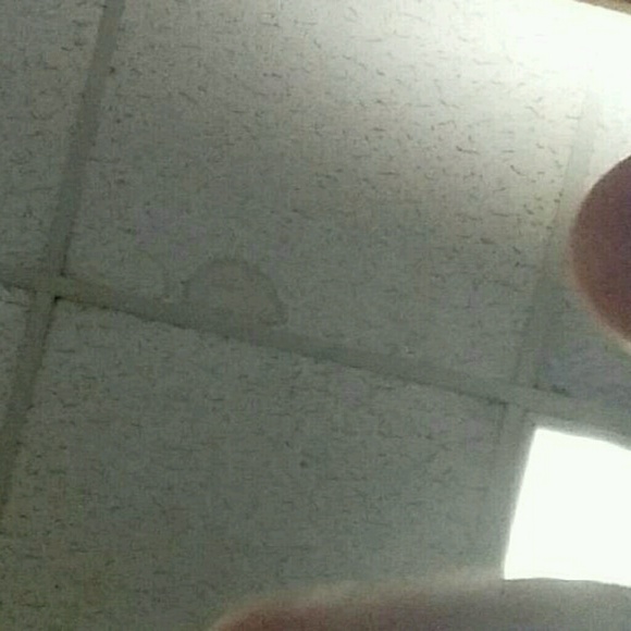 Meet your Posher, Randy - Picture 1 of 1